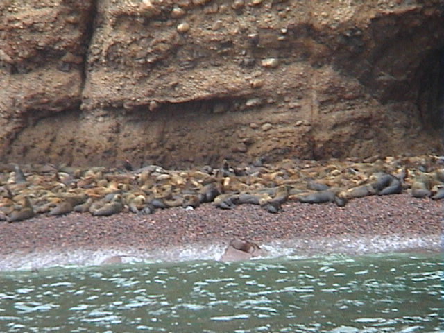 DSC00401