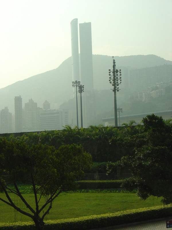 DSC05339