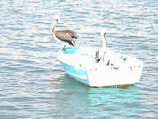 DSC00404