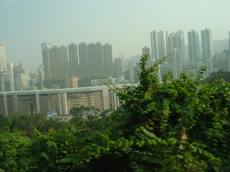 DSC05343