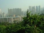 DSC05343