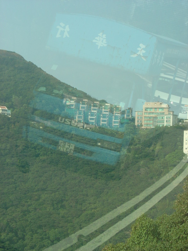 DSC05350