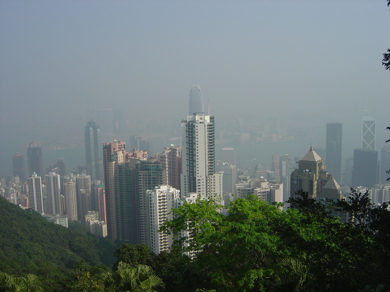 DSC05351