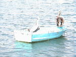 DSC00405