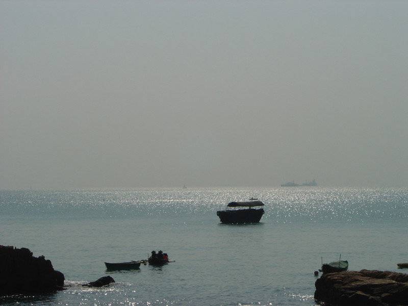 DSC05429