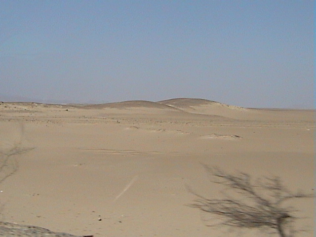 DSC00406