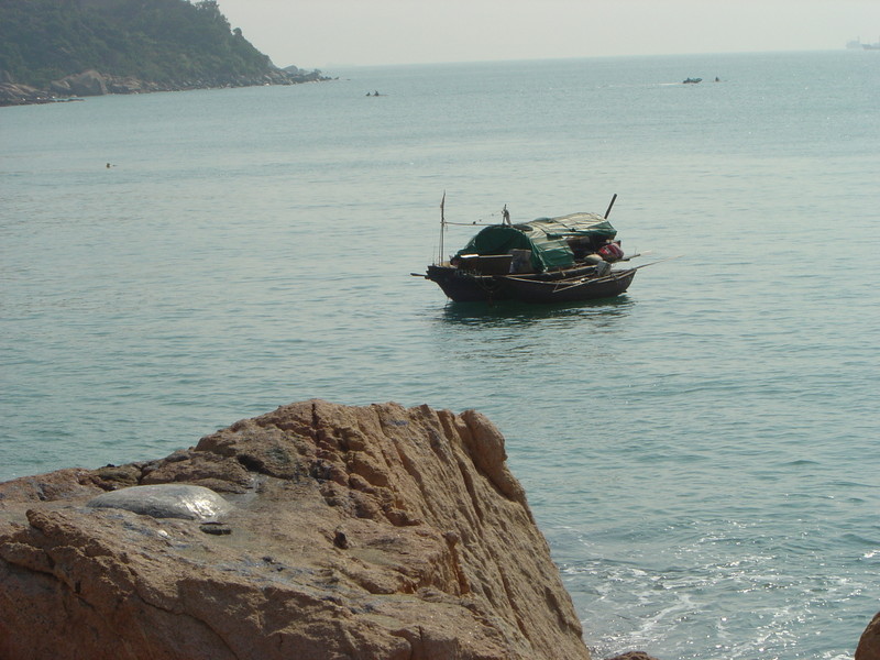 DSC05434