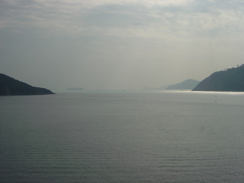 DSC05445
