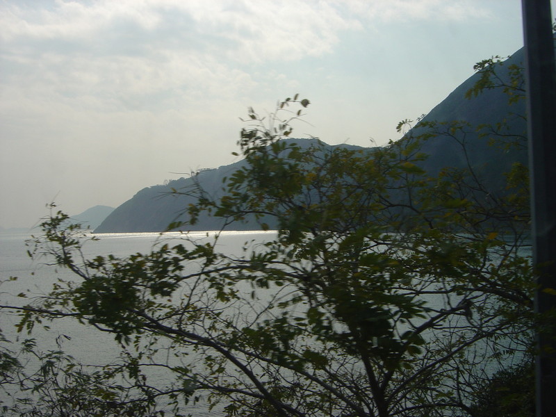 DSC05447