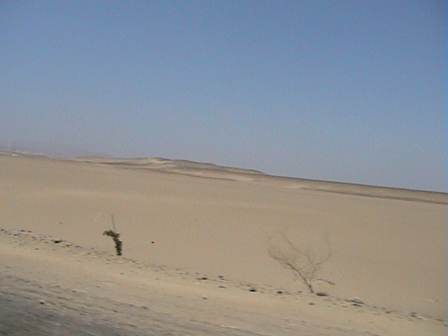 DSC00407