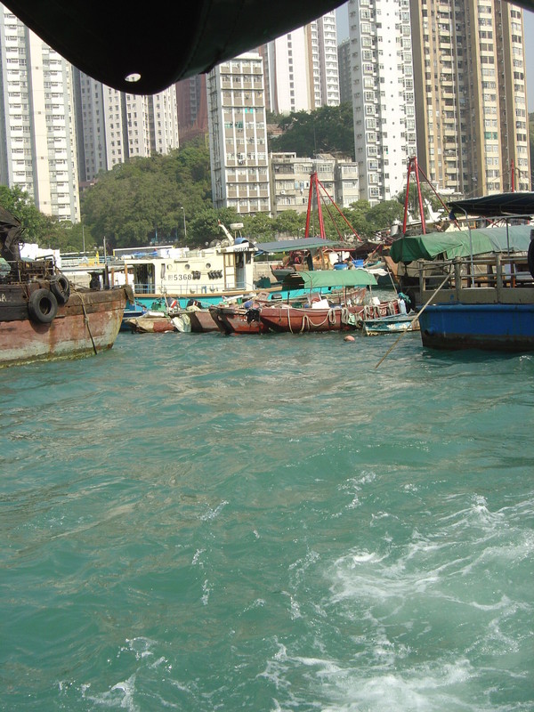 DSC05376