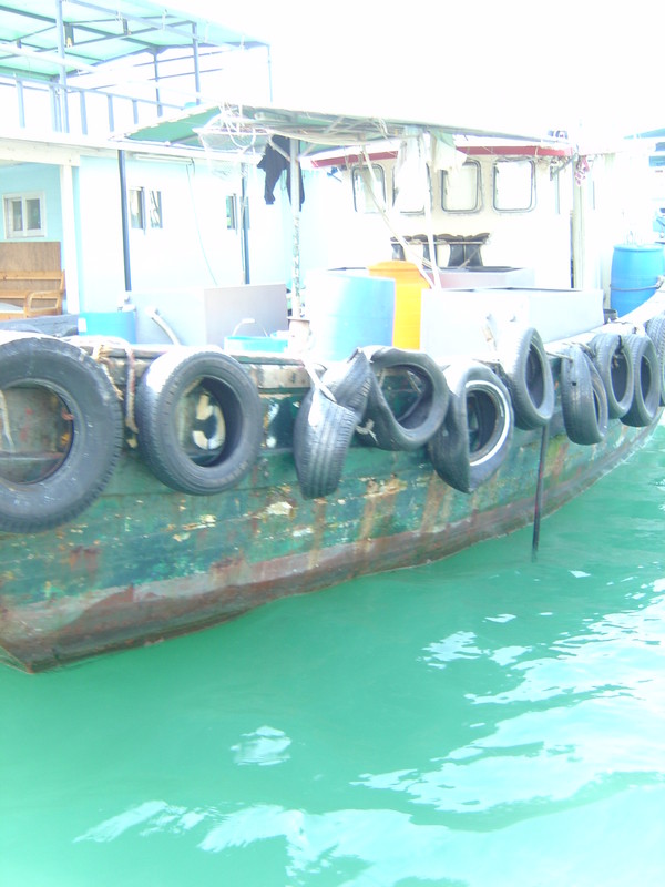 DSC05381