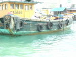 DSC05387