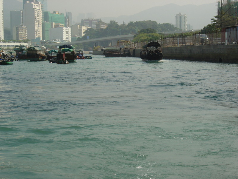 DSC05388