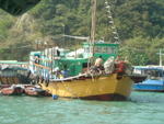 DSC05401