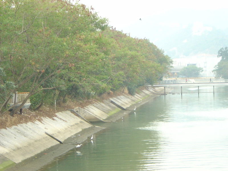 DSC05505