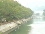 DSC05505