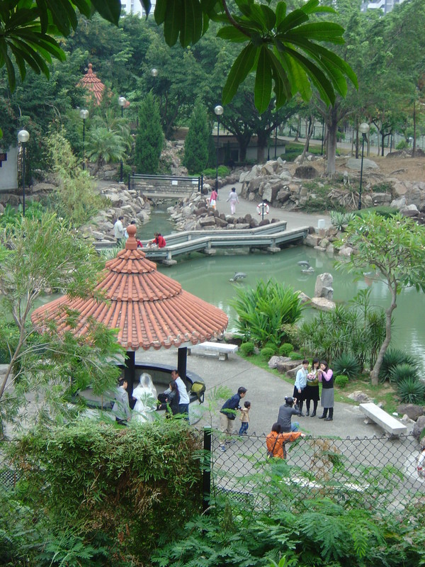 DSC05509