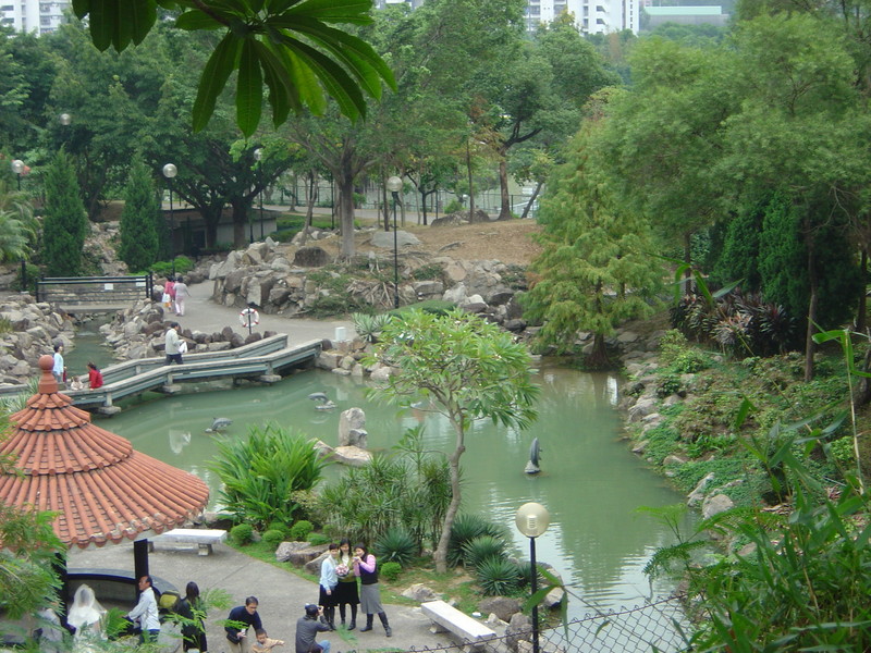 DSC05510