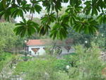 DSC05511