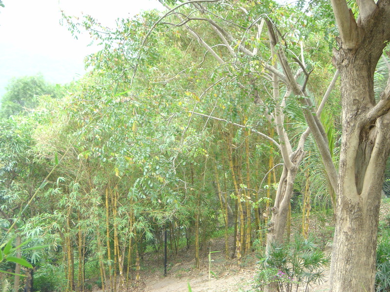 DSC05512