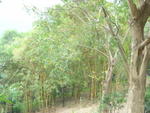 DSC05512