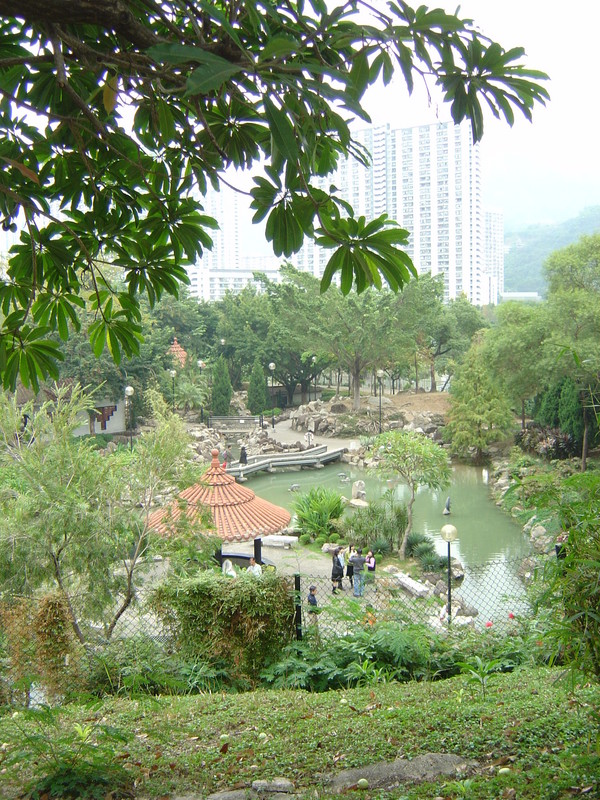 DSC05514
