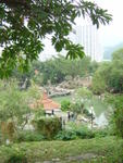DSC05514