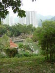 DSC05515