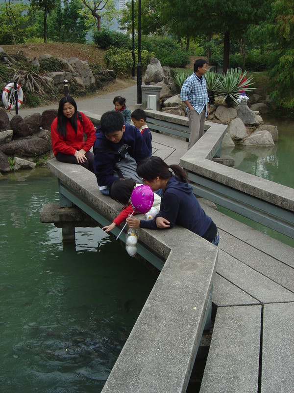 DSC05519