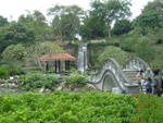 DSC05525