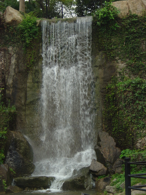DSC05530