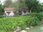 DSC05538