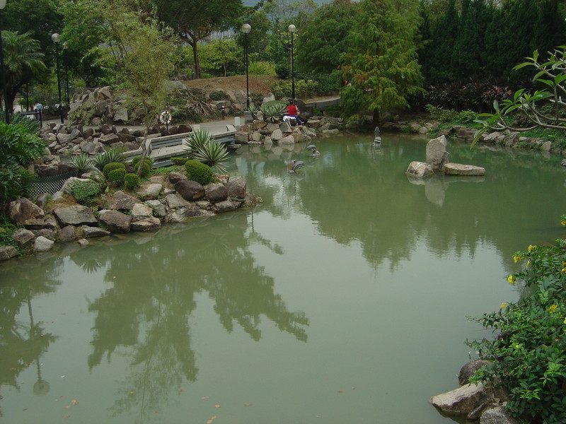 DSC05539