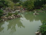 DSC05539