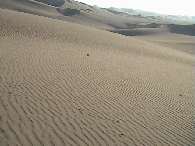 DSC00417