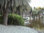 DSC00425