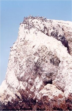 Image32