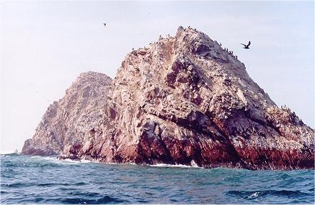 Image55
