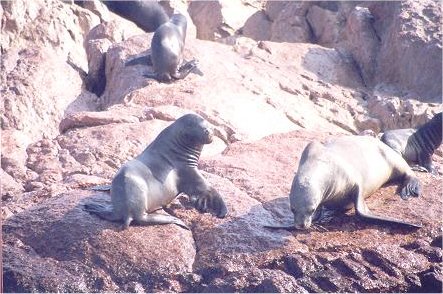 Image57