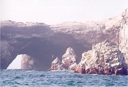 Image60