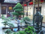 DSC05145