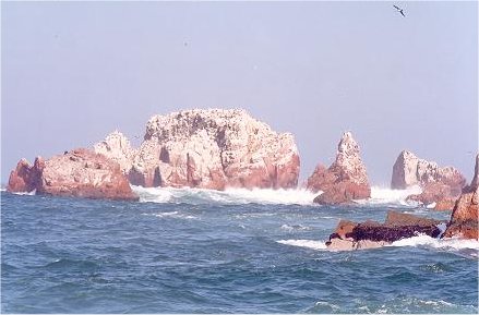 Image61