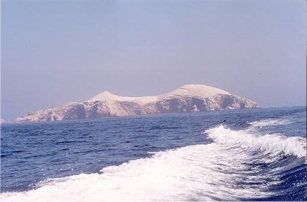 Image63