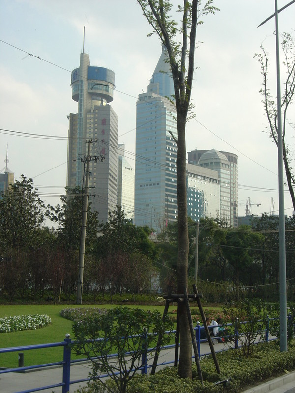 DSC05245