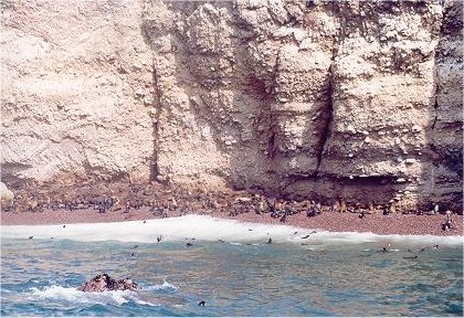 Image64