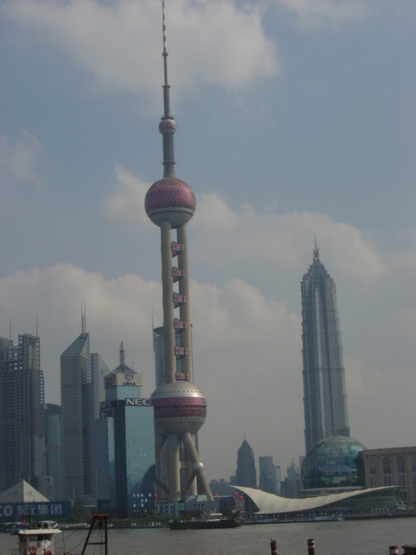 DSC05230