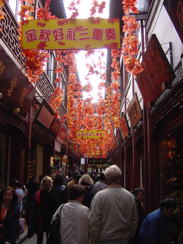 DSC05193