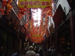 DSC05194
