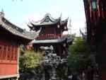 DSC05203